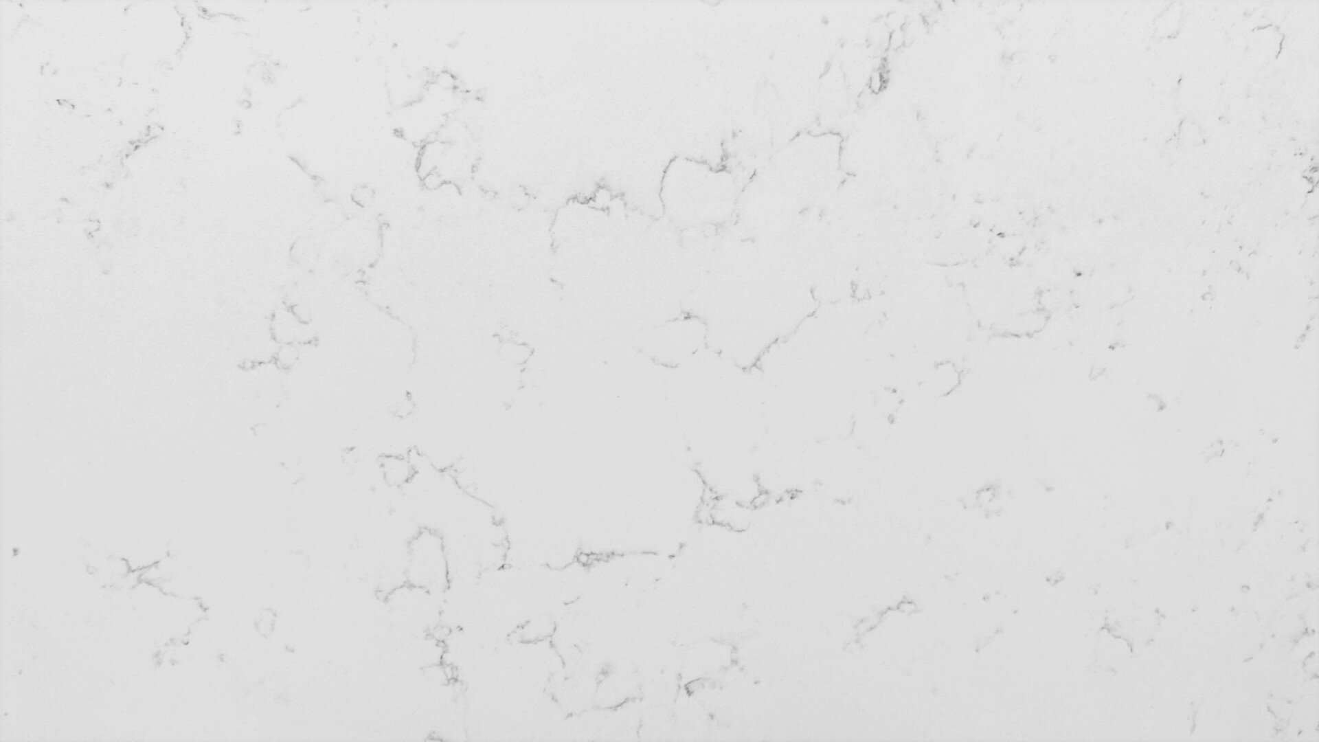 41 6016950