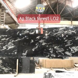 Black Forerst