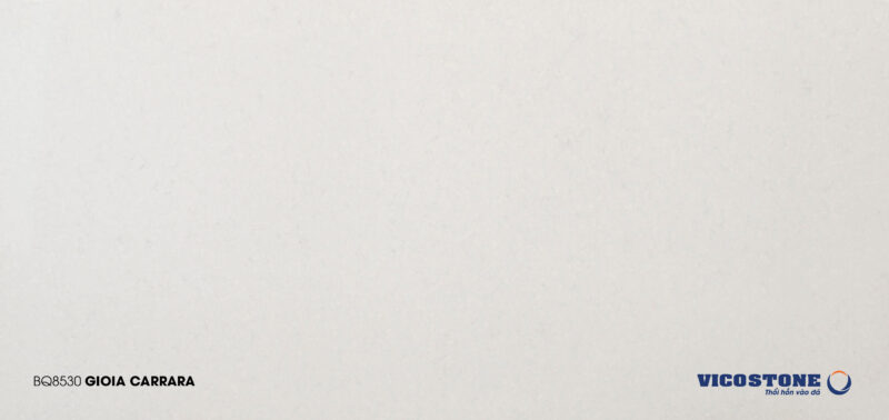 Bq8530 Gioia Carrara